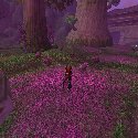 Teldrassil Pink Elekks On Parade