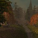 The Bulwark