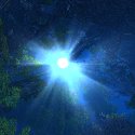 The Sun through Ashenvale trees