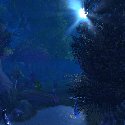 The Sun through Ashenvale trees