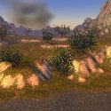 Trees on the Desolace shore