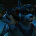 Two Female Pandaren