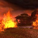 Wetlands on fire