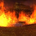 Wetlands on fire