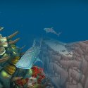 Whale Sharks